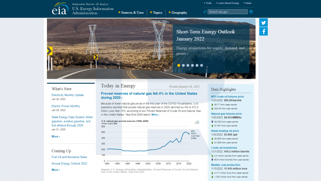 Main EIA website page